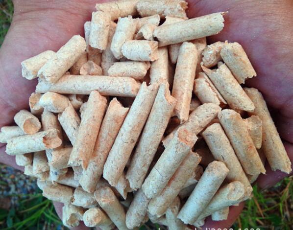 生物質燃料顆粒機設備