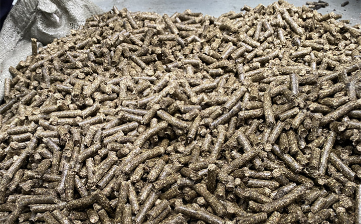 鋸末顆粒機木屑顆粒 鋸末顆粒機木屑顆粒