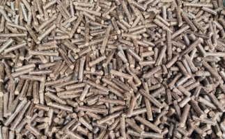 鋸末顆粒機加工的顆粒燃料價格主要受哪幾個方面的影響？